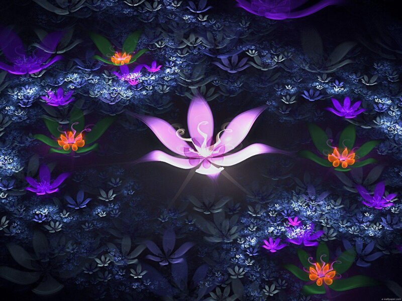 Glowing Purple Flowers — Dreamy