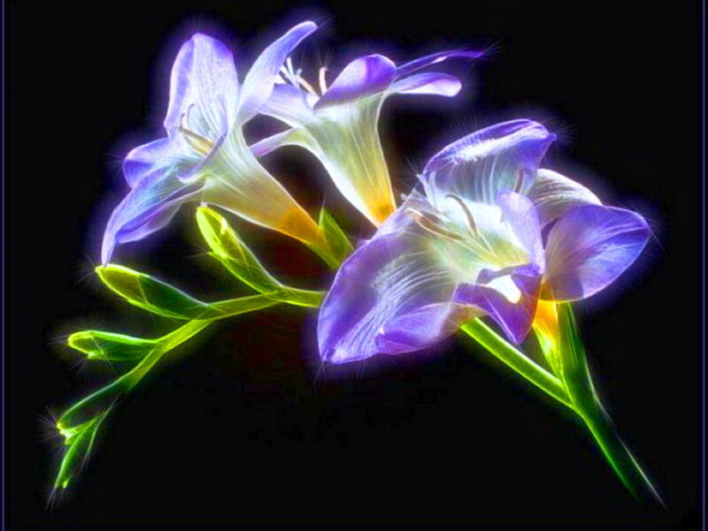Glowing Purple Flowers — Ethereal, Digital Art