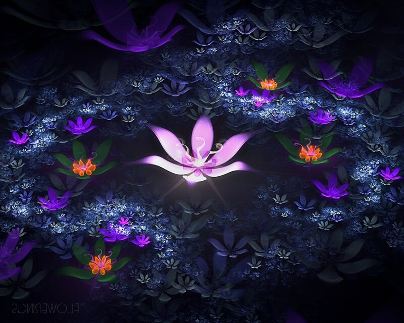 Glowing Purple Flowers — Mystical, Night