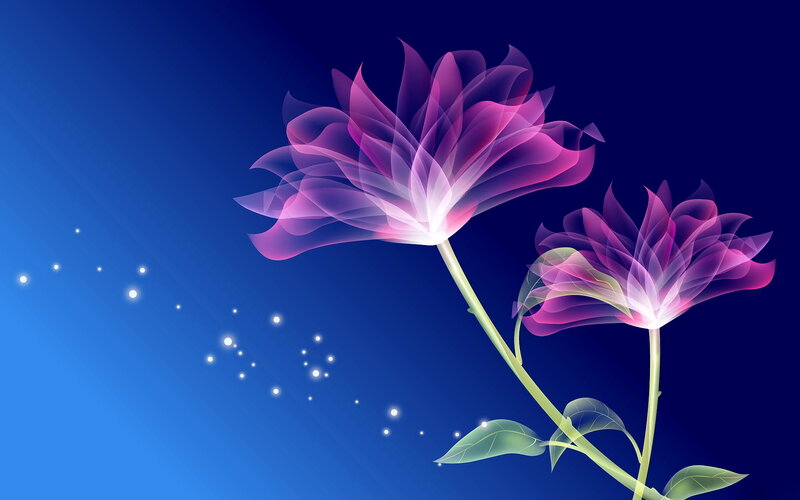 Glowing purple flowers on blue