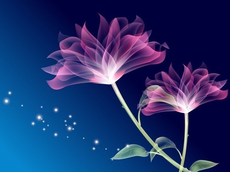 glowing purple flowers on blue