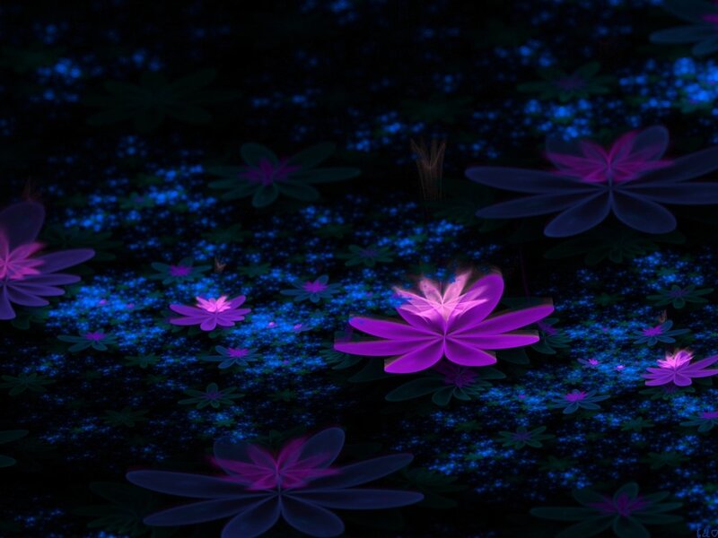 Glowing Purple Flowers — Serene, Night, Digital Art