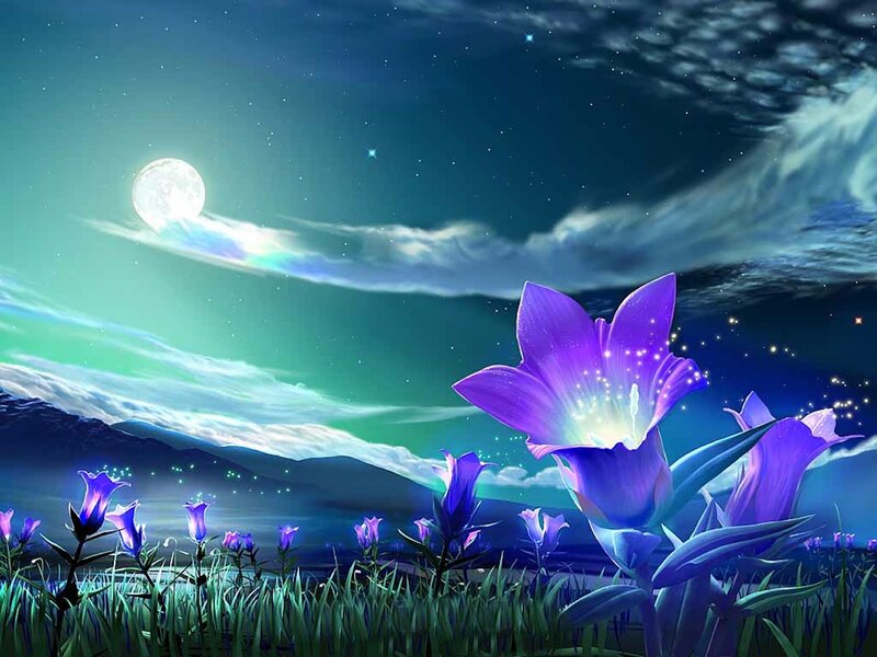 Glowing Purple Flowers — Serene, Night