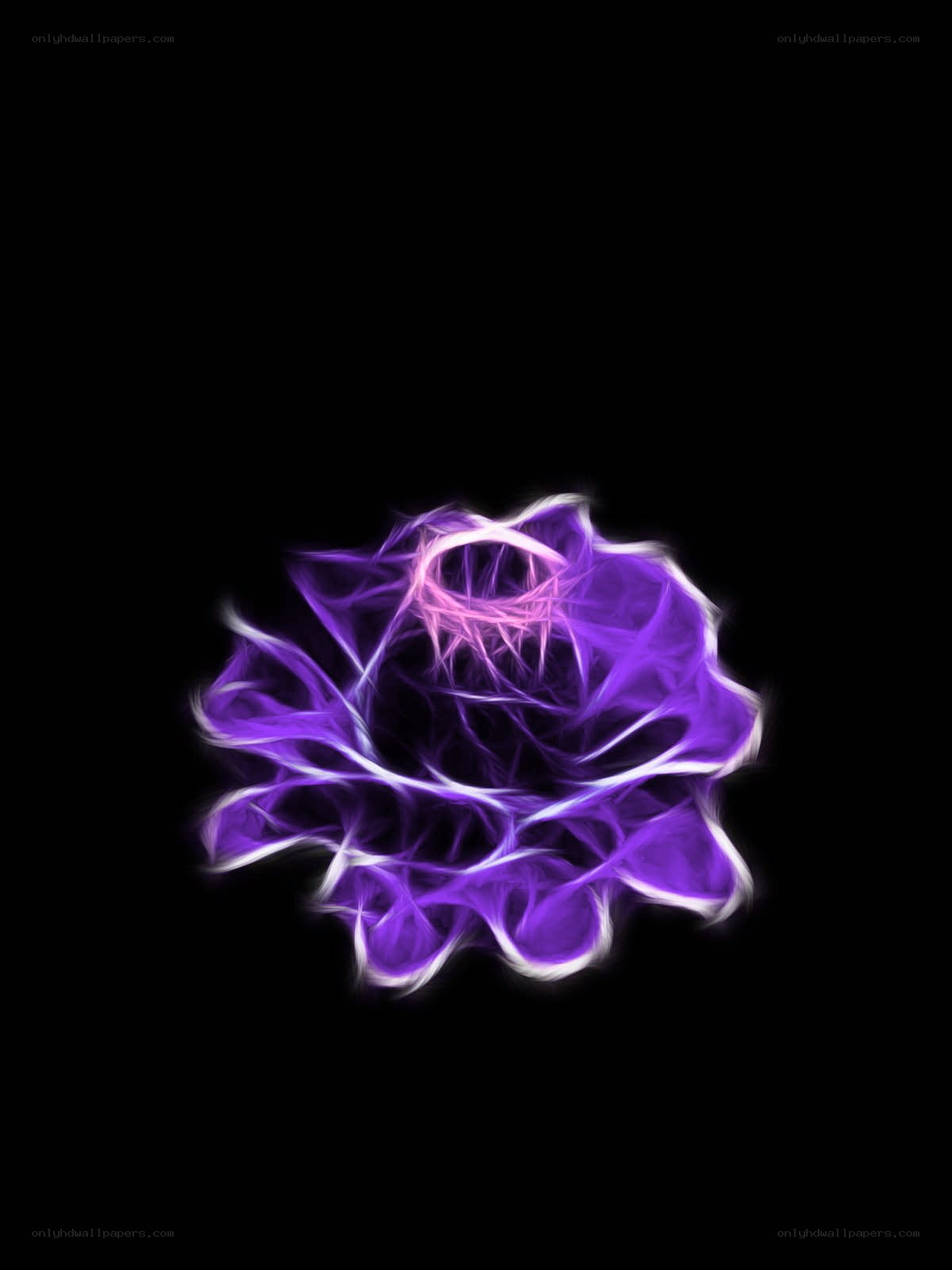 glowing purple fractal flower