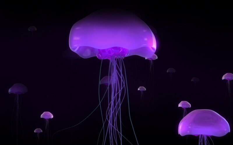 glowing purple jellyfish