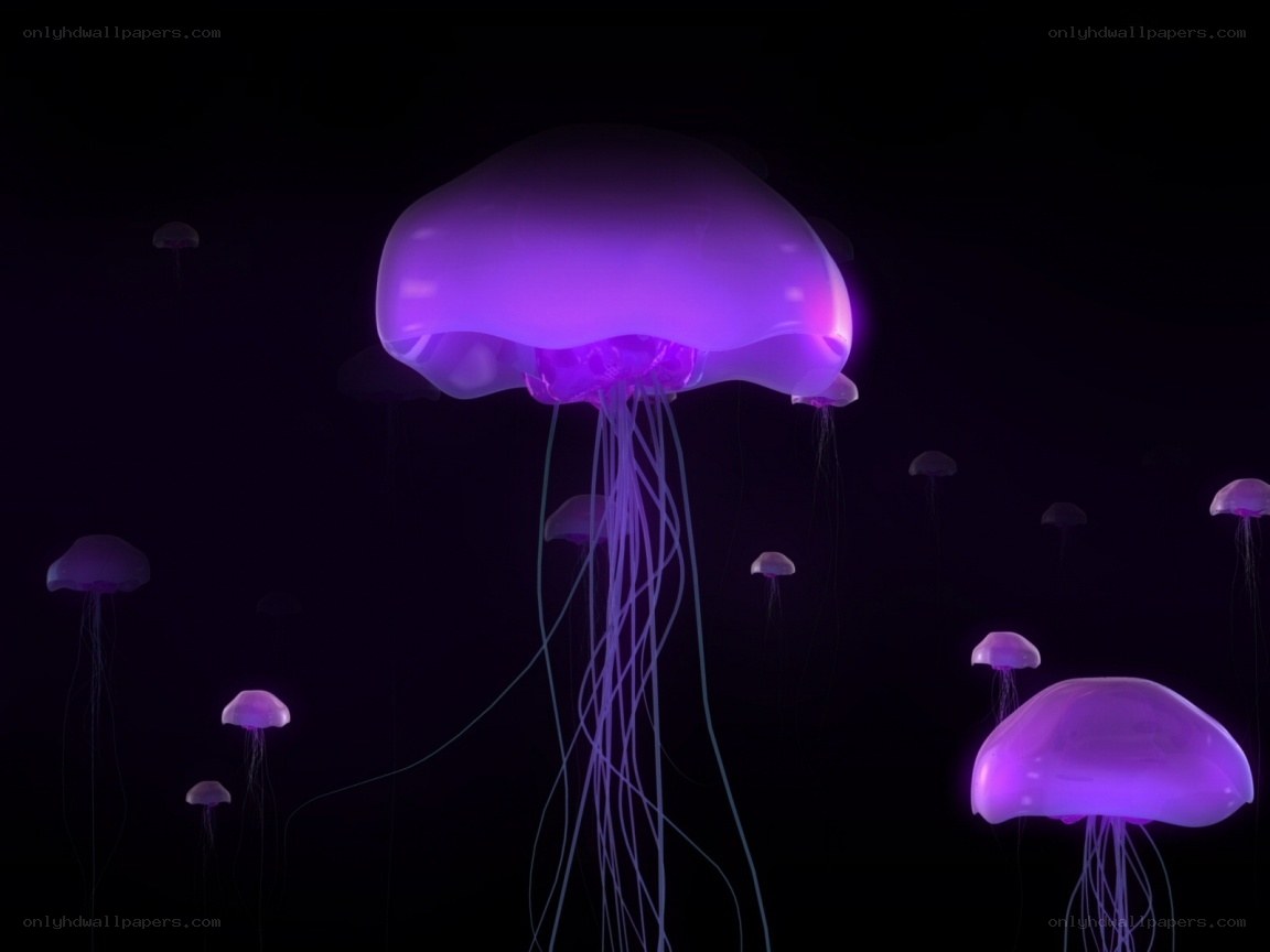 glowing purple jellyfish