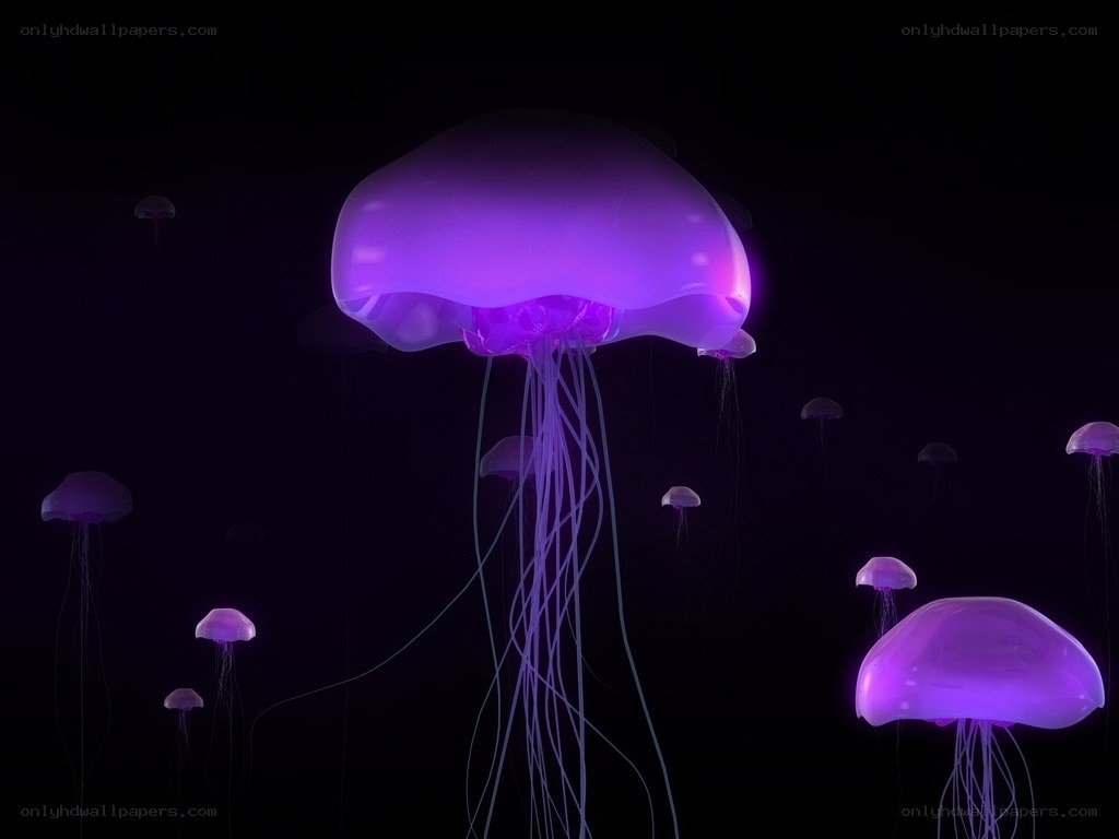 glowing purple jellyfish