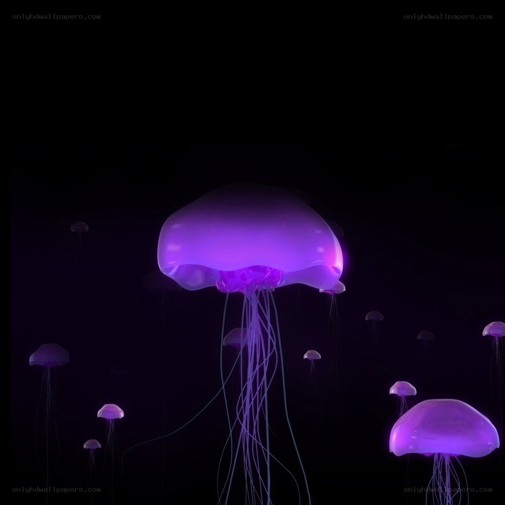 glowing purple jellyfish
