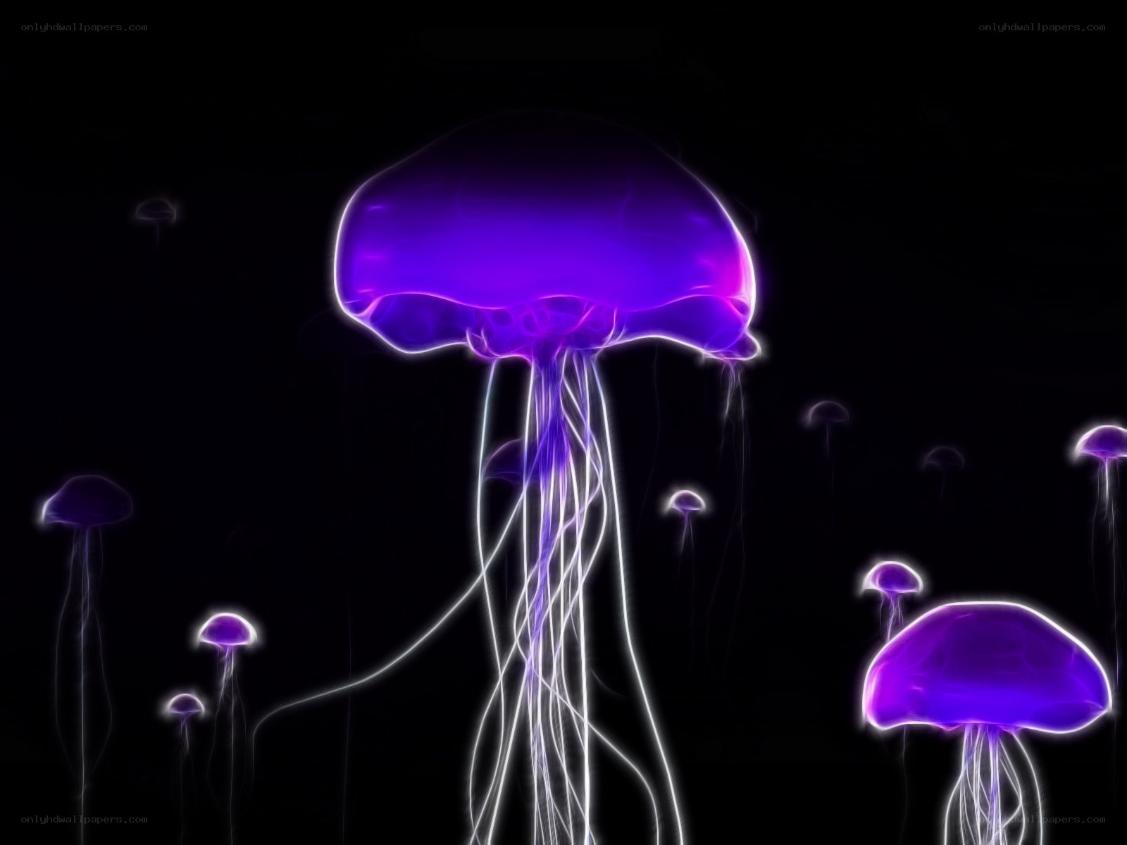 glowing purple jellyfish