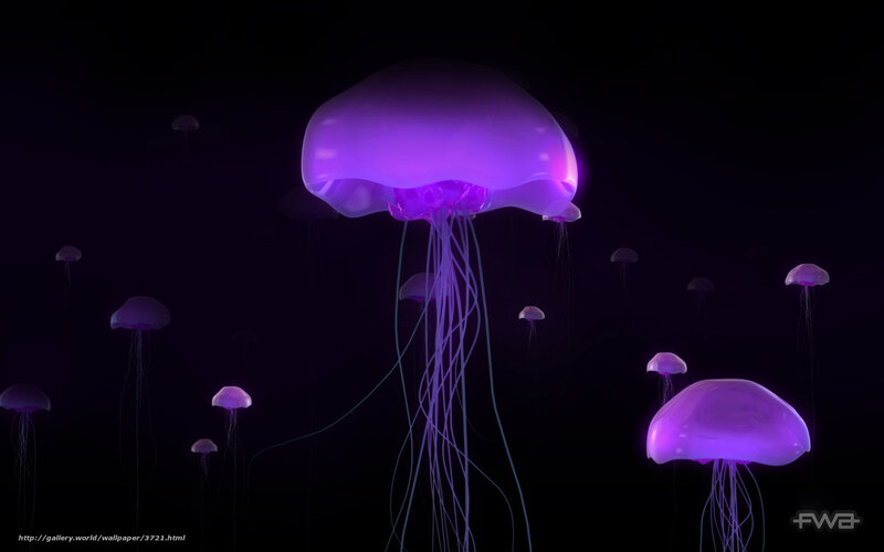 glowing purple jellyfish