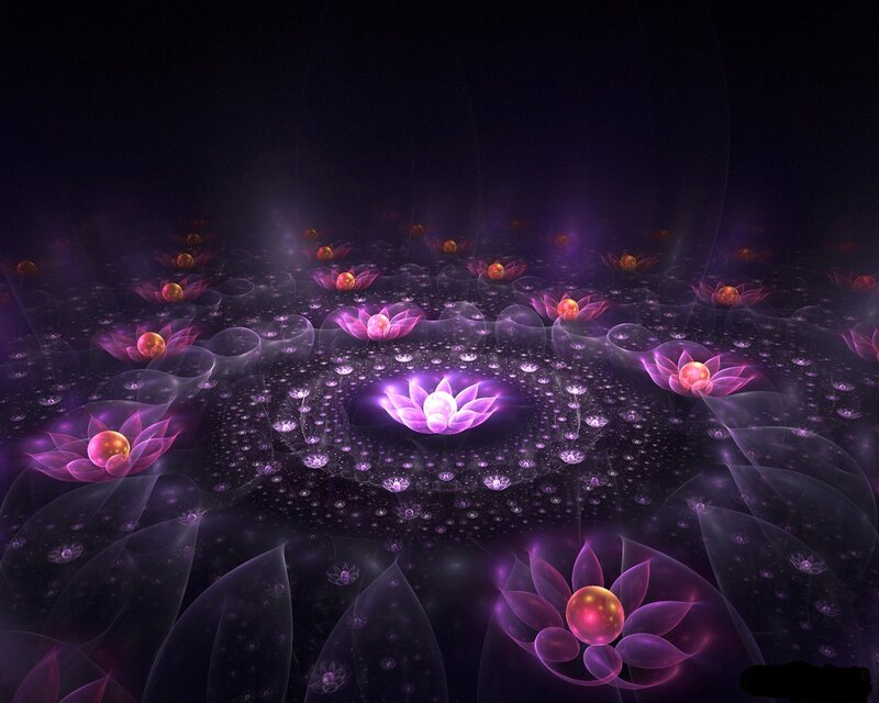 Glowing Purple Lotus Flowers — Serene, Night