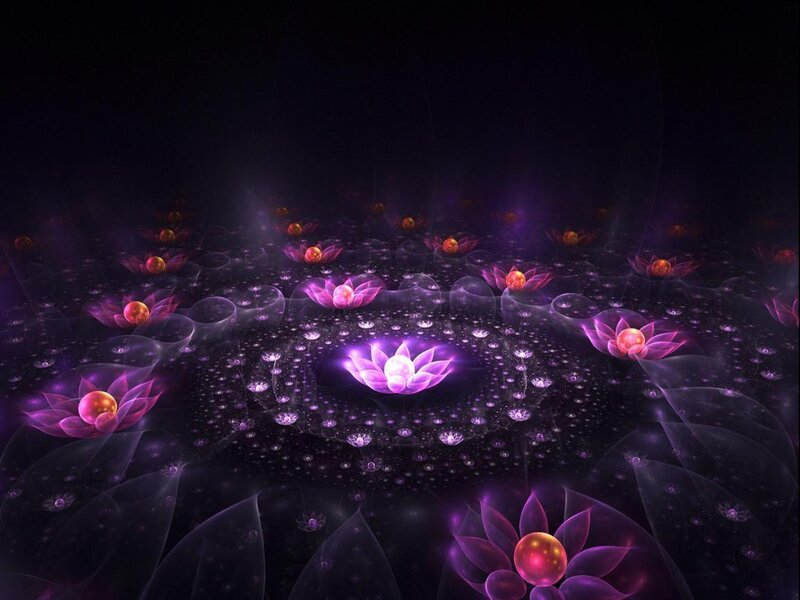 Glowing Purple Lotus Flowers — Serene