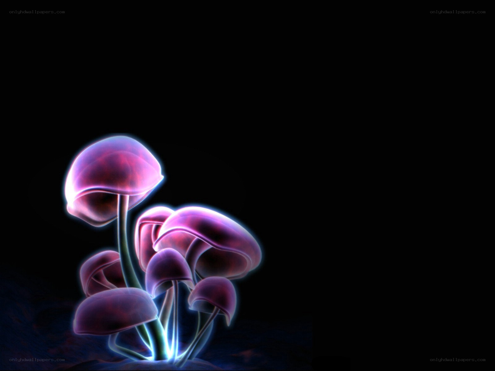 glowing purple mushrooms