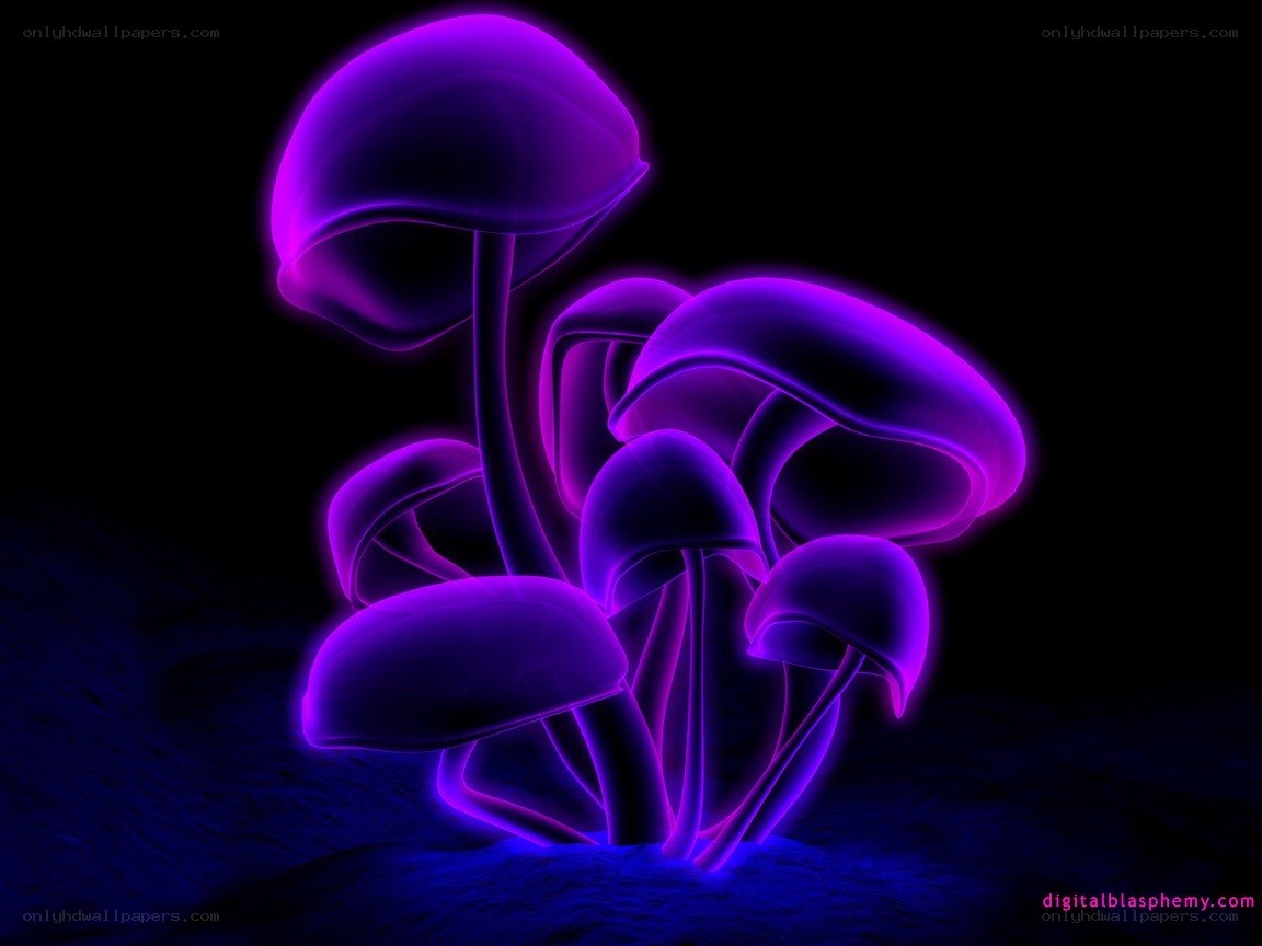 glowing purple mushrooms