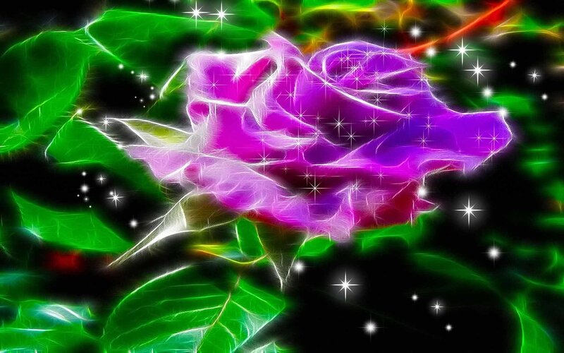 glowing purple rose with green leaves