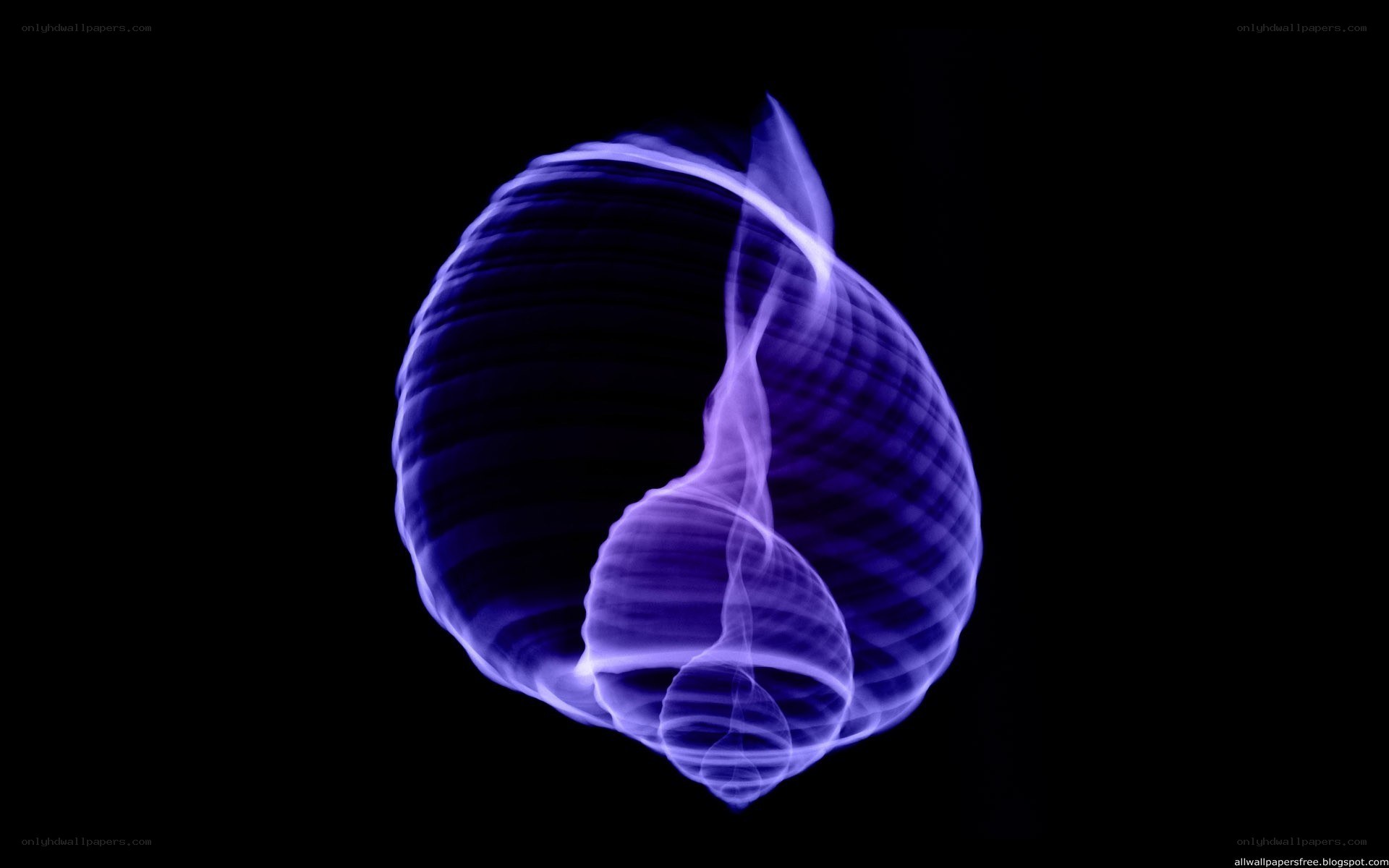 glowing purple spiral shell