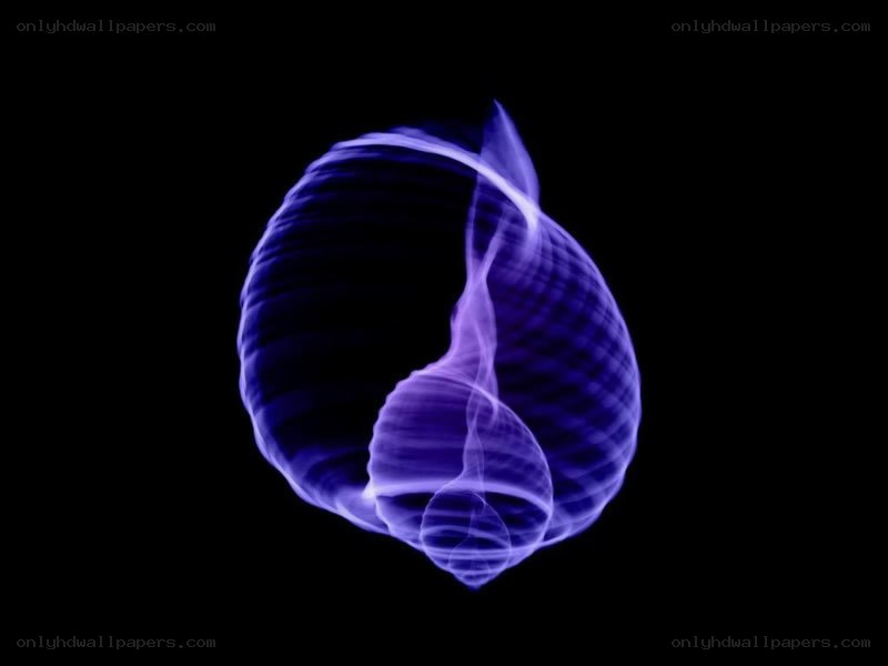 glowing purple spiral shell