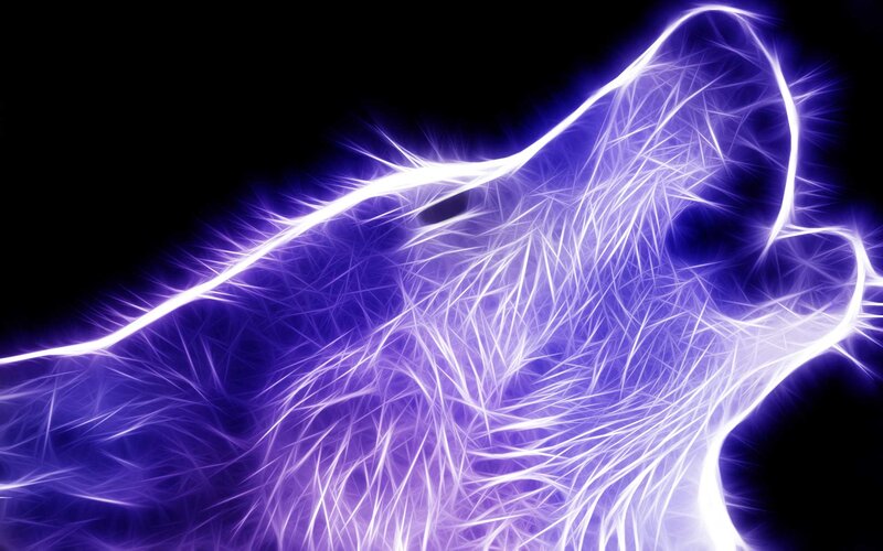 Glowing Purple Wolf