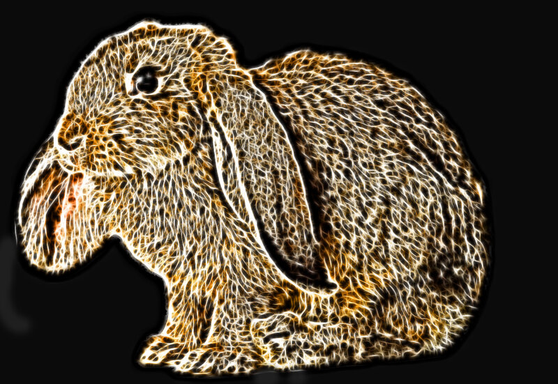 glowing rabbit outline