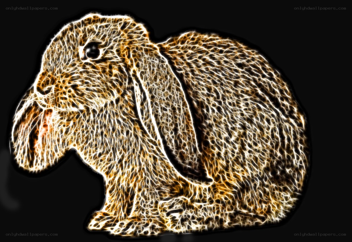 glowing rabbit outline