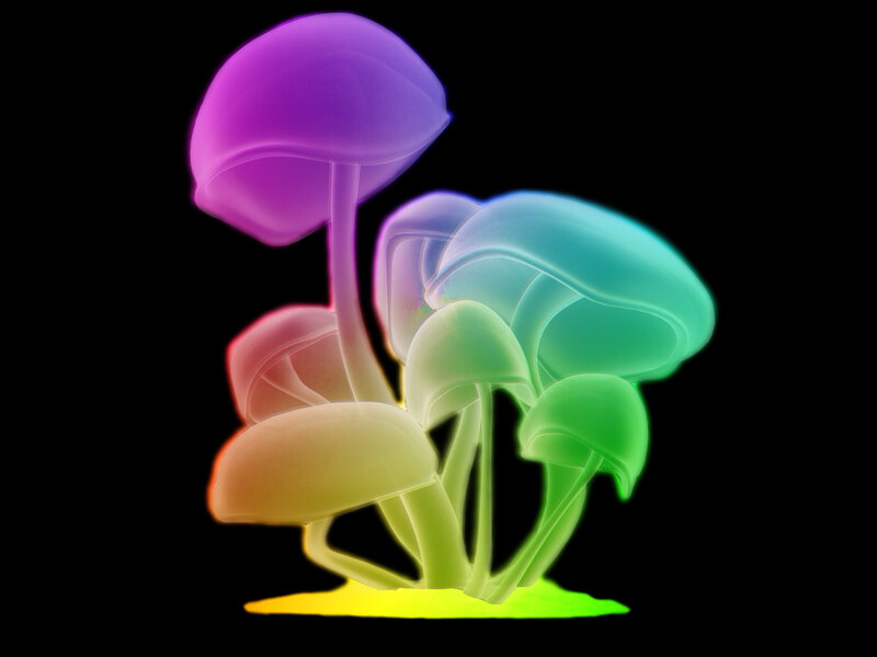 glowing rainbow mushrooms