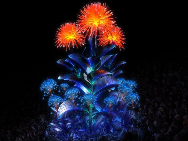 glowing red and blue flowers