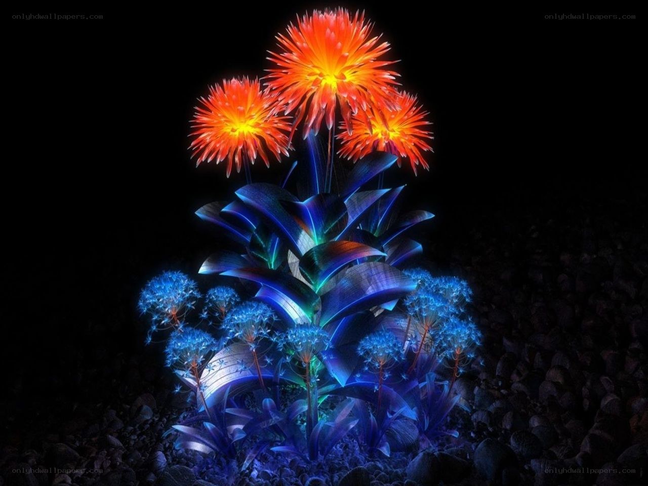 glowing red and blue flowers