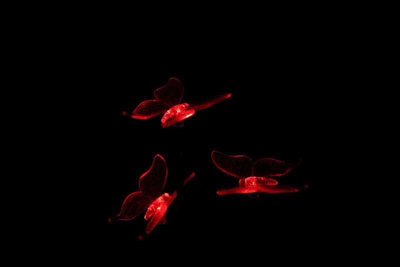 Glowing Red Butterfly Lights