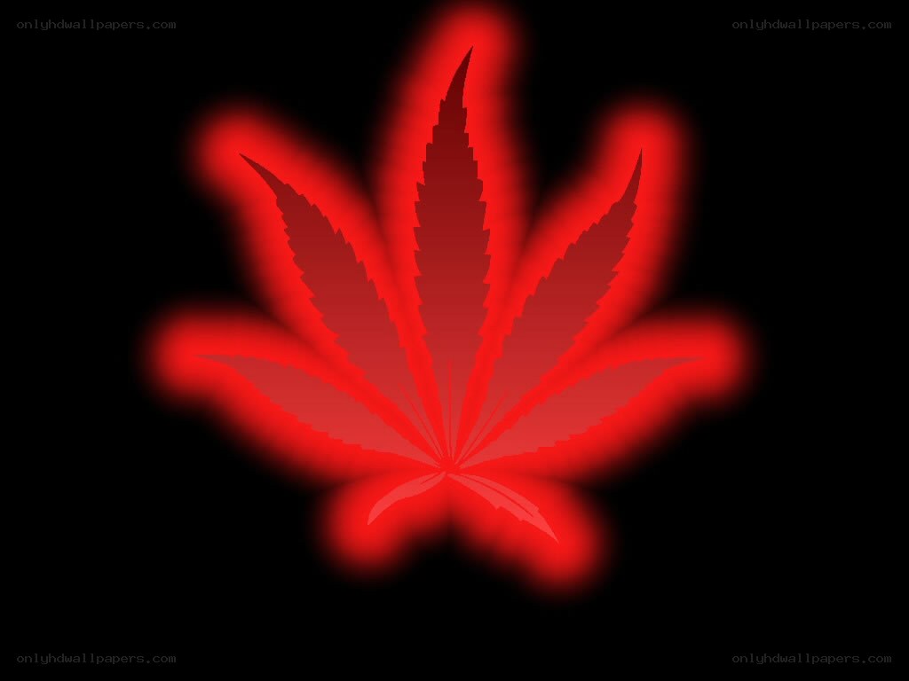 glowing red cannabis leaf