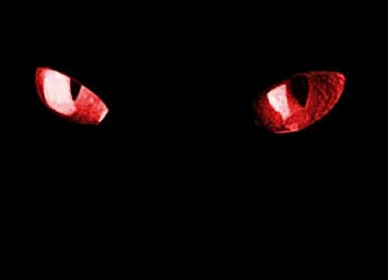 Glowing Red Cat Eyes