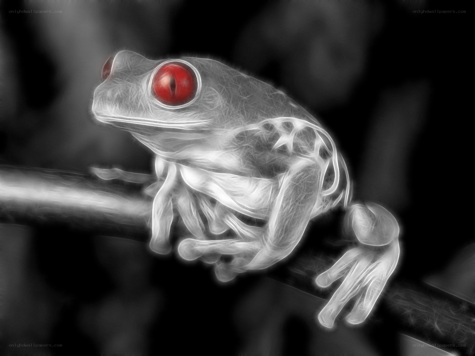 glowing red-eyed frog