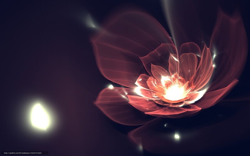 Glowing Red Flower — Dramatic, Night, Digital Art, Light
