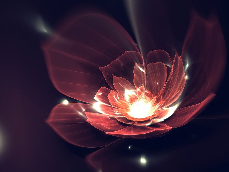 Glowing Red Flower — Dramatic