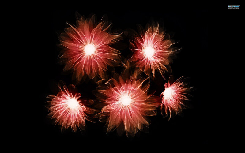 Glowing Red Flowers