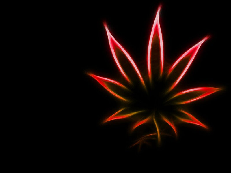 glowing red leaf design