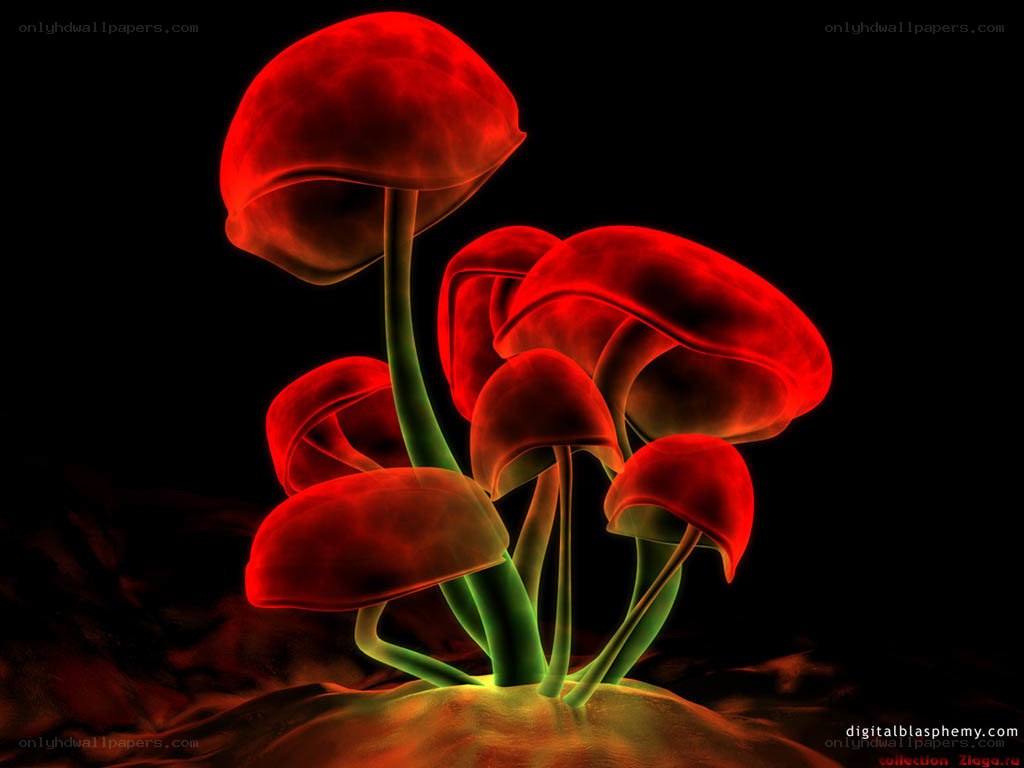 Glowing red mushrooms
