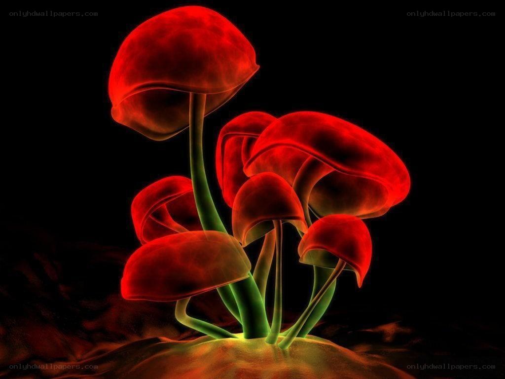 Glowing red mushrooms