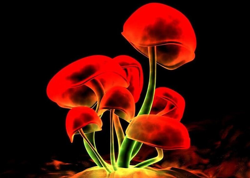 Glowing red mushrooms