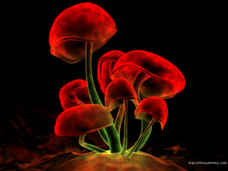 Glowing Red Mushrooms — Dramatic, Night, Digital Art, Stem