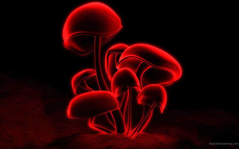 Glowing Red Mushrooms — Dramatic, Night, Digital Art