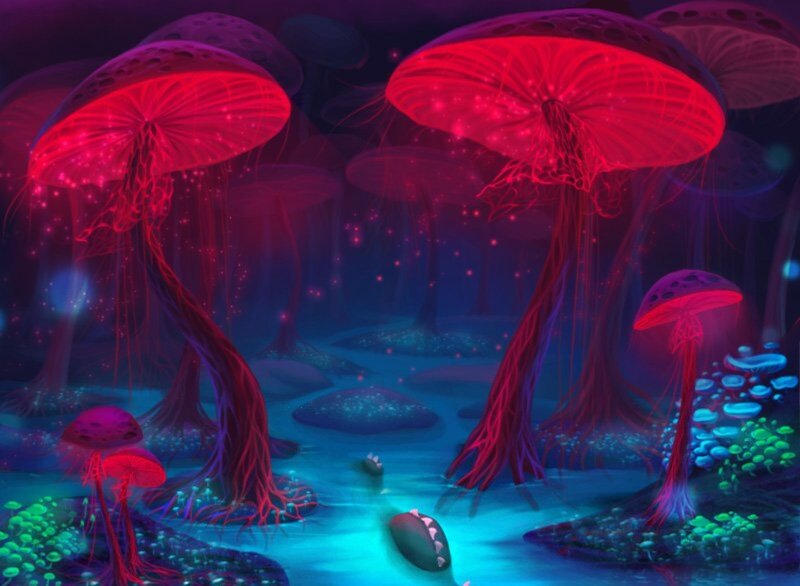 Glowing Red Mushrooms — Mystical