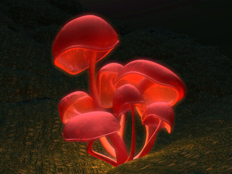 glowing red mushrooms