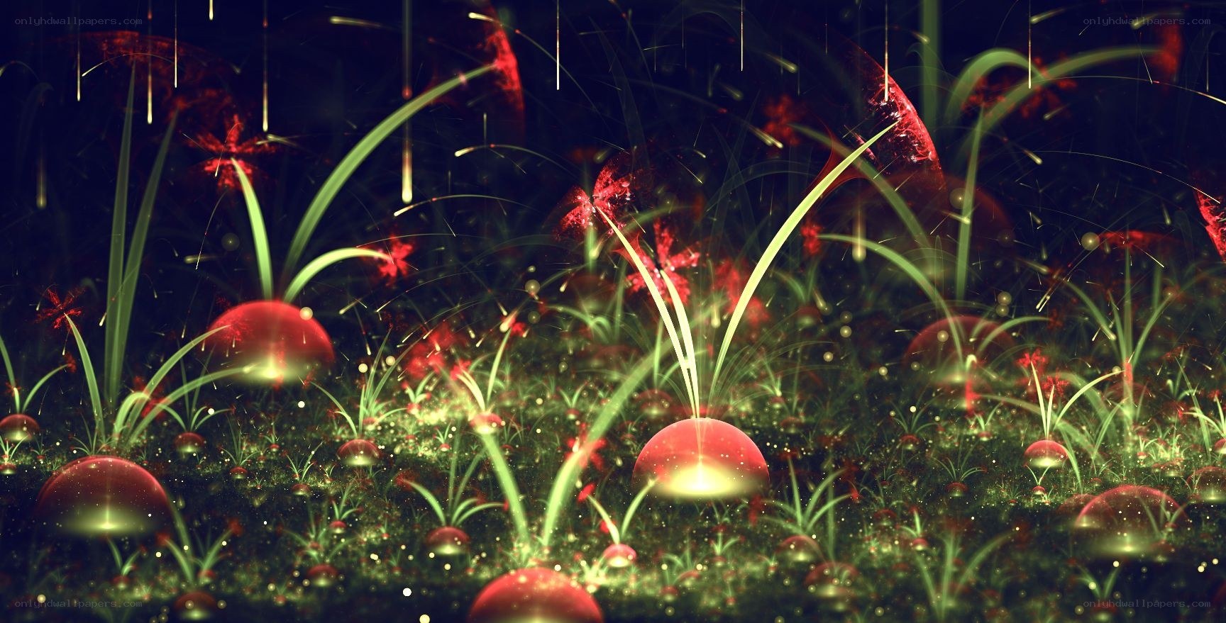 glowing red plants in dark field