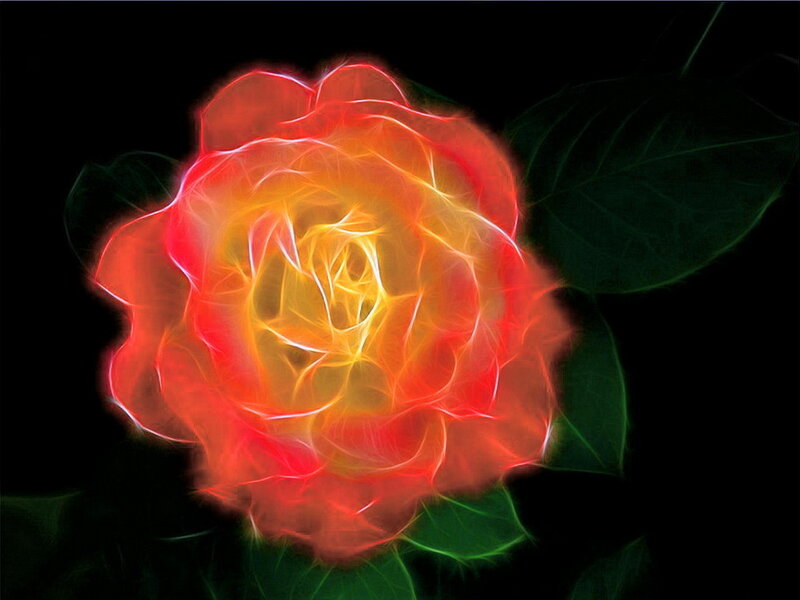 Glowing Red Rose — Dramatic, Digital Art, Leaf