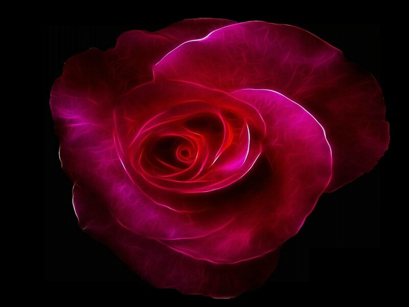Glowing Red Rose — Dramatic, Digital Art, Petals, Magenta