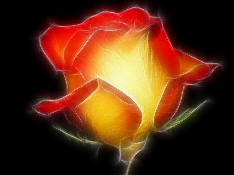 Glowing Red Rose — Dramatic, Digital Art