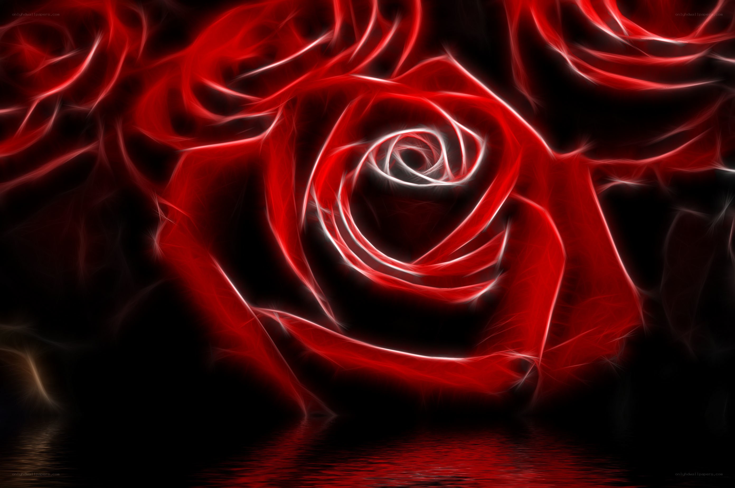 glowing red rose fractal