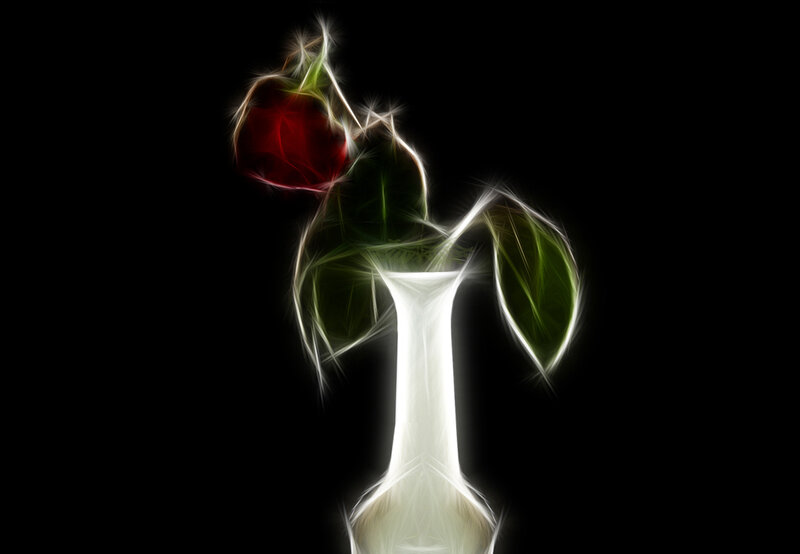 glowing red rose in vase