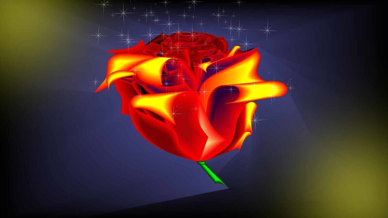 glowing red rose with stars