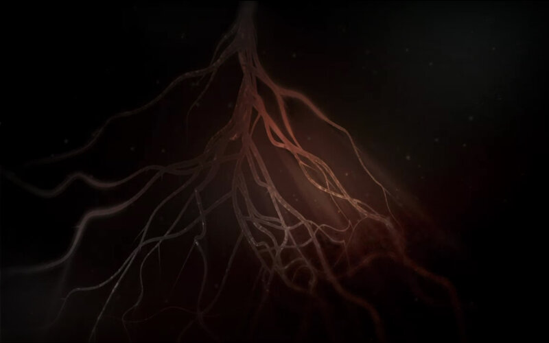 glowing root network